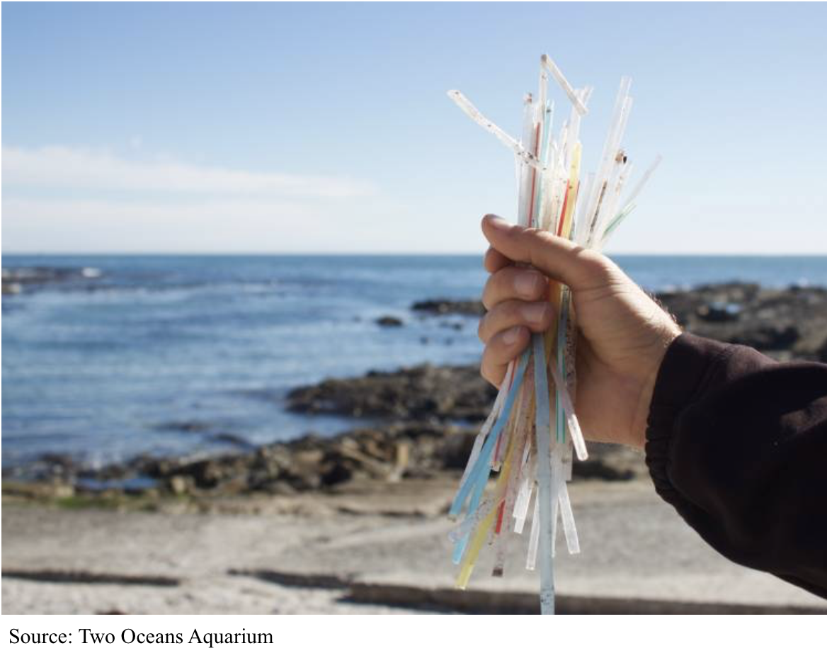 Hand holding straws that washed up on shore. 